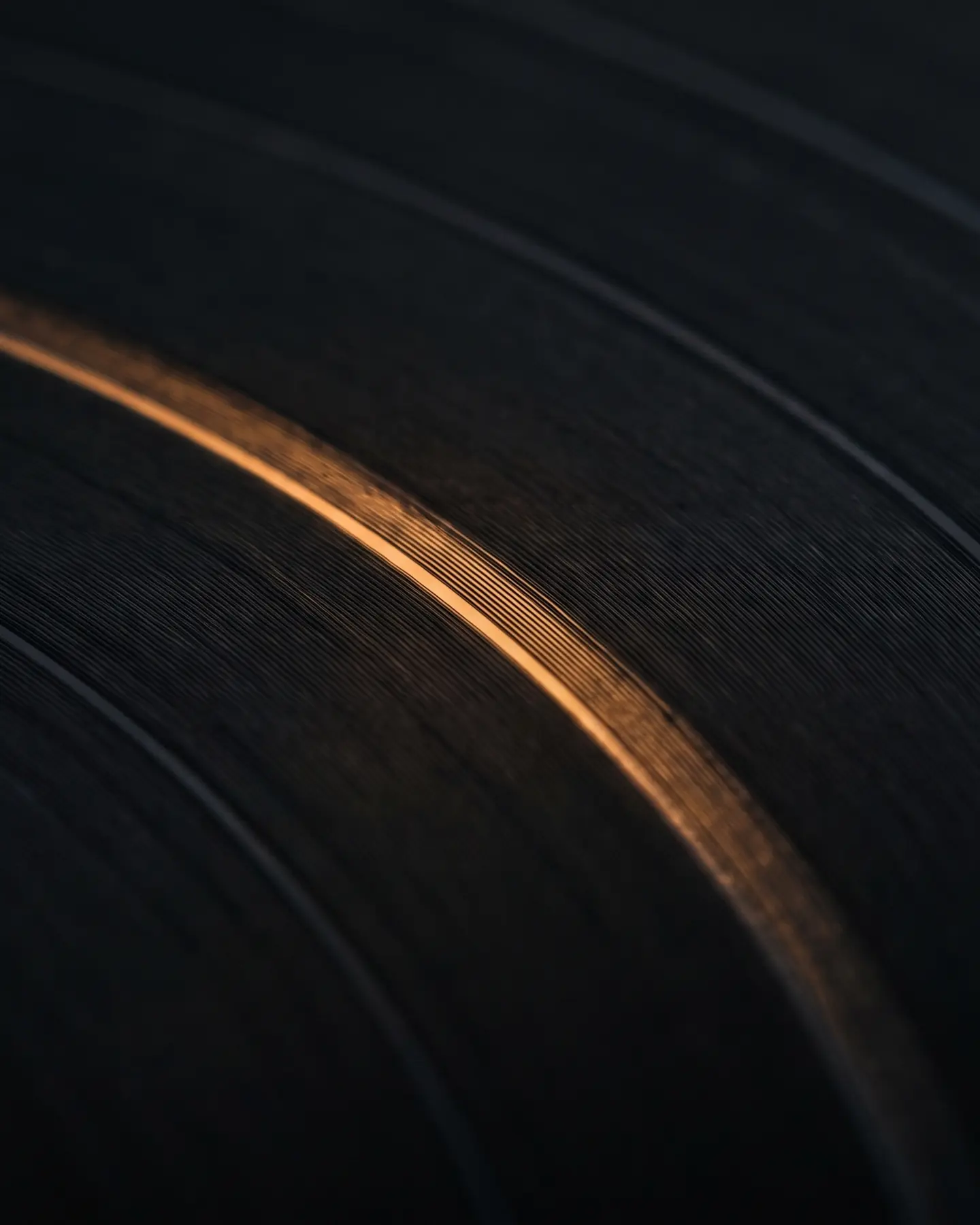 Close view of the grooves of a black vinyl record with one line of warm light across them
